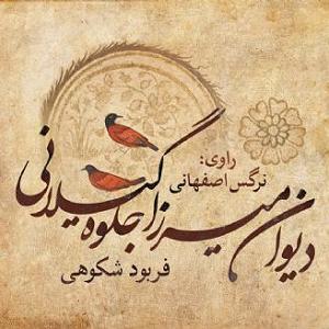  کاور کتاب دیوان میرزا جلوه گیلانی نرگس اصفهانی 